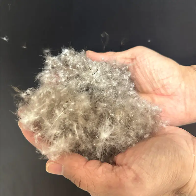 80% šedé kačacie páperie