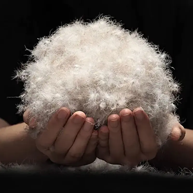 90% šedé kačacie páperie