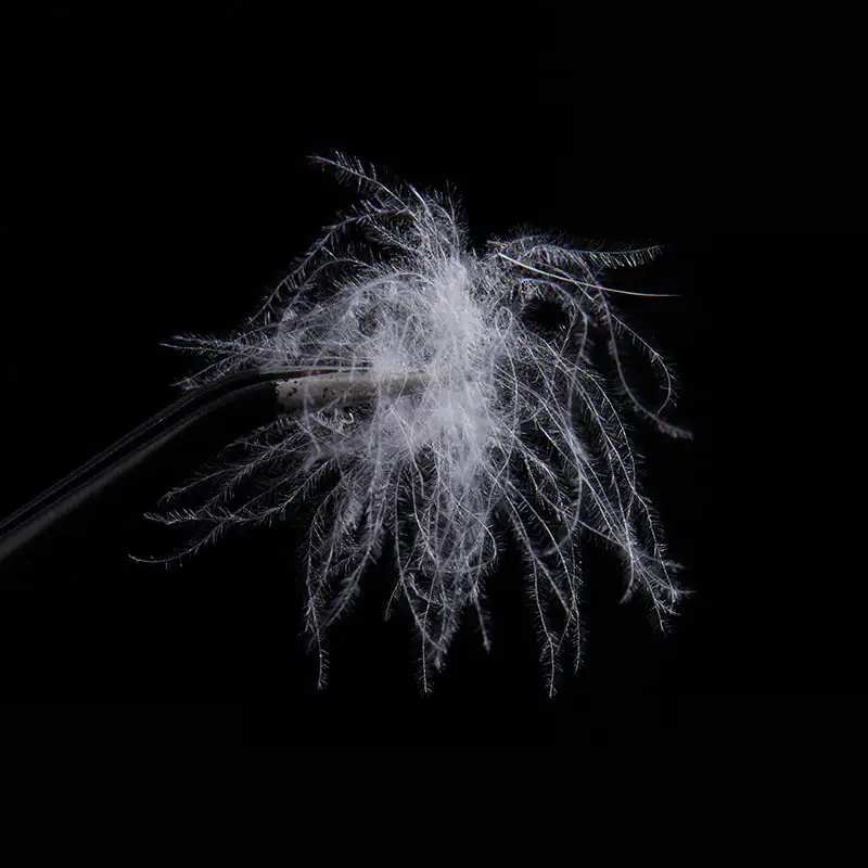 50% čisté biele kačacie páperie